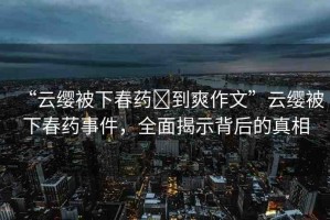 “云纓被下春藥?到爽作文”云纓被下春藥事件，全面揭示背后的真相