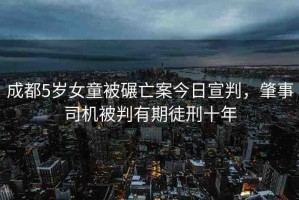成都5歲女童被碾亡案今日宣判，肇事司機(jī)被判有期徒刑十年