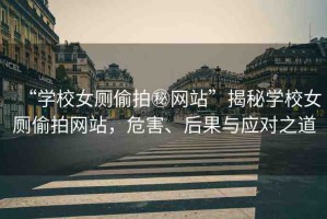 “學(xué)校女廁偷拍秘網(wǎng)站”揭秘學(xué)校女廁偷拍網(wǎng)站，危害、后果與應(yīng)對之道