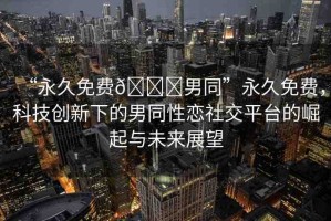 “永久免費(fèi)??男同”永久免費(fèi)，科技創(chuàng)新下的男同性戀社交平臺(tái)的崛起與未來(lái)展望