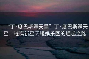 “丁·度巴斯?jié)M天星”丁·度巴斯?jié)M天星，璀璨新星閃耀娛樂(lè)圈的崛起之路