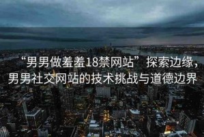 “男男做羞羞18禁網(wǎng)站”探索邊緣，男男社交網(wǎng)站的技術(shù)挑戰(zhàn)與道德邊界