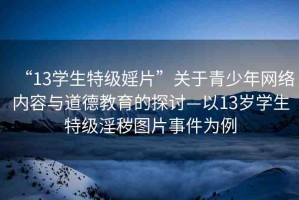 “13學(xué)生特級婬片”關(guān)于青少年網(wǎng)絡(luò)內(nèi)容與道德教育的探討—以13歲學(xué)生特級淫穢圖片事件為例