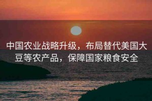 中國農(nóng)業(yè)戰(zhàn)略升級，布局替代美國大豆等農(nóng)產(chǎn)品，保障國家糧食安全