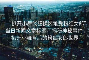 “扒開(kāi)小舞?狂揉?難受粉紅女郎”當(dāng)日新聞文章標(biāo)題，揭秘神秘事件，扒開(kāi)小舞背后的粉紅女郎世界