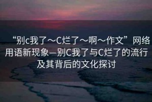 “別c我了～C爛了～啊～作文”網(wǎng)絡(luò)用語新現(xiàn)象—?jiǎng)eC我了與C爛了的流行及其背后的文化探討