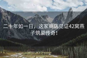 二十年如一日，這家商店見證42窩燕子筑巢傳奇！