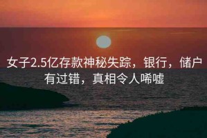 女子2.5億存款神秘失蹤，銀行，儲(chǔ)戶有過(guò)錯(cuò)，真相令人唏噓
