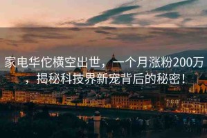 家電華佗橫空出世，一個(gè)月漲粉200萬(wàn)，揭秘科技界新寵背后的秘密！