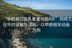 “申鶴被?吸乳羞羞動(dòng)畫A片”網(wǎng)絡(luò)文化中的誤解與誤判，以申鶴相關(guān)動(dòng)畫為例