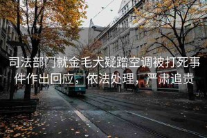 司法部門就金毛犬疑蹭空調(diào)被打死事件作出回應(yīng)，依法處理，嚴(yán)肅追責(zé)