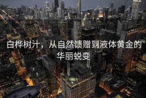 白樺樹汁，從自然饋贈到液體黃金的華麗蛻變