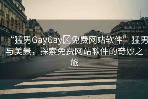 “猛男GayGay?免費(fèi)網(wǎng)站軟件”猛男與美景，探索免費(fèi)網(wǎng)站軟件的奇妙之旅