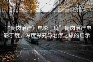 “胬肉治療》電影丁度”胬肉治療電影丁度，深度探究與治療之旅的啟示