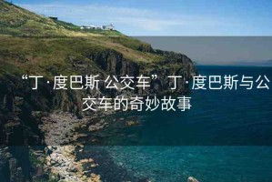 “丁·度巴斯 公交車”丁·度巴斯與公交車的奇妙故事