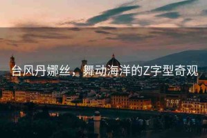 臺風(fēng)丹娜絲，舞動海洋的Z字型奇觀