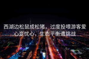 西湖邊松鼠成松豬，過(guò)度投喂游客愛(ài)心變憂心，生態(tài)平衡遭挑戰(zhàn)