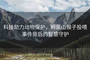 科技助力動物保護(hù)，黔靈山猴子投喂事件背后的智慧守護(hù)
