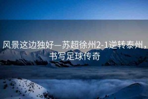 風(fēng)景這邊獨好—蘇超徐州2-1逆轉(zhuǎn)泰州，書寫足球傳奇