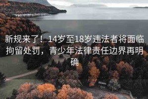新規(guī)來了！14歲至18歲違法者將面臨拘留處罰，青少年法律責(zé)任邊界再明確