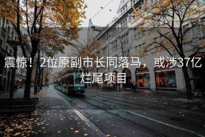 震驚！2位原副市長(zhǎng)同落馬，或涉37億爛尾項(xiàng)目