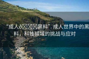 “成人??黑料”成人世界中的黑料，科技領域的挑戰(zhàn)與應對
