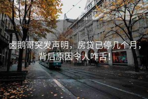 鹵鵝哥突發(fā)聲明，房貸已停幾個(gè)月，背后原因令人咋舌！