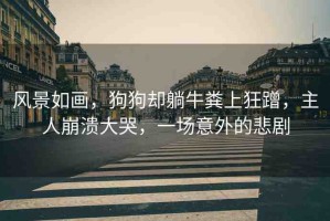 風(fēng)景如畫，狗狗卻躺牛糞上狂蹭，主人崩潰大哭，一場意外的悲劇