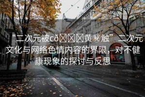 “二次元被c??黃秘觸”二次元文化與網(wǎng)絡(luò)色情內(nèi)容的界限，對不健康現(xiàn)象的探討與反思