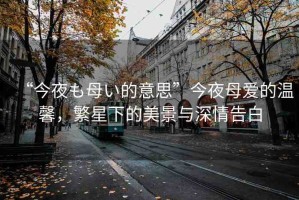 “今夜も母い的意思”今夜母愛(ài)的溫馨，繁星下的美景與深情告白
