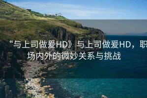 “與上司做爰HD》與上司做爰HD，職場內(nèi)外的微妙關(guān)系與挑戰(zhàn)