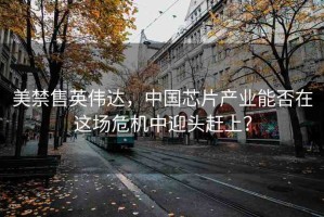 美禁售英偉達(dá)，中國芯片產(chǎn)業(yè)能否在這場危機(jī)中迎頭趕上？