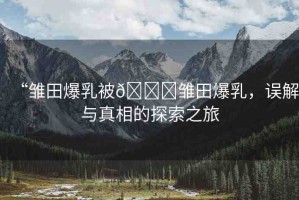 “雛田爆乳被??雛田爆乳，誤解與真相的探索之旅