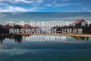 “嗯∽啊～輕點(diǎn)禁??視頻”關(guān)于網(wǎng)絡(luò)視頻內(nèi)容的探討—以輕點(diǎn)禁??視頻為例