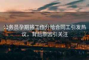 公務(wù)員孕期將工作分給合同工引發(fā)熱議，背后原因引關(guān)注