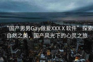 “國產(chǎn)男男Gay做爰XXXⅩ軟件”探索自然之美，國產(chǎn)風光下的心靈之旅