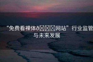“免費看裸體??網(wǎng)站”行業(yè)監(jiān)管與未來發(fā)展