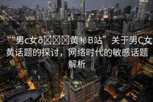“男c女??黃秘B站”關(guān)于男C女黃話題的探討，網(wǎng)絡(luò)時代的敏感話題解析