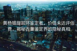 黃楊鈿甜耳環(huán)鑒定者，價值未達(dá)評估費(fèi)，揭秘古董鑒定界的隱秘真相