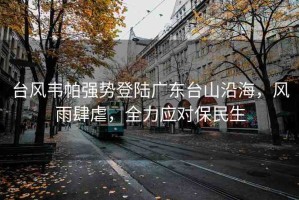 臺風韋帕強勢登陸廣東臺山沿海，風雨肆虐，全力應對保民生