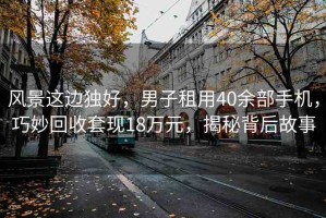 風(fēng)景這邊獨(dú)好，男子租用40余部手機(jī)，巧妙回收套現(xiàn)18萬(wàn)元，揭秘背后故事