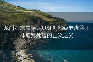 龍門(mén)石窟晨曦，見(jiàn)證副部級(jí)老虎駱玉林被判死緩的正義之光