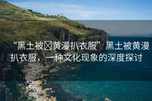 “黑土被?黃漫扒衣服”黑土被黃漫扒衣服，一種文化現(xiàn)象的深度探討