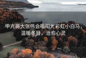 甲亢哥大張偉合唱陽光彩虹小白馬，溫暖冬日，治愈心靈