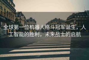 全球第一位機(jī)器人格斗冠軍誕生，人工智能的勝利，未來(lái)戰(zhàn)士的啟航