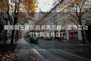 秦海璐王俊凱姐弟再同框，溫情互動(dòng)引發(fā)網(wǎng)友熱議！