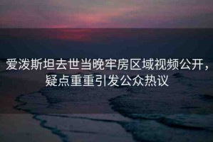 愛潑斯坦去世當晚牢房區(qū)域視頻公開，疑點重重引發(fā)公眾熱議