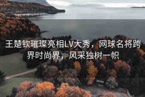 王楚欽璀璨亮相LV大秀，網(wǎng)球名將跨界時尚界，風(fēng)采獨樹一幟
