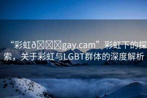 “彩虹??gay.cam”彩虹下的探索，關(guān)于彩虹與LGBT群體的深度解析