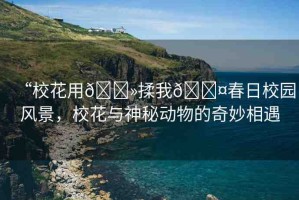 “?；ㄓ??揉我??春日校園風(fēng)景，?；ㄅc神秘動物的奇妙相遇